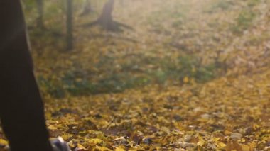 Genç adam sonbahar orman, insan ve doğa, yürüyüş sırt çantası altın sezon