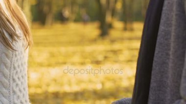 Sevgi dolu iki aşk hikayesi sonbahar orman, ortak destek elele,