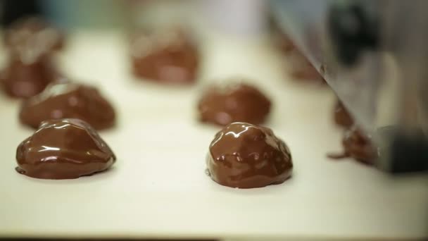 Dolci pronti al cioccolato che si muovono su trasportatore, produzione di dolciumi — Video Stock