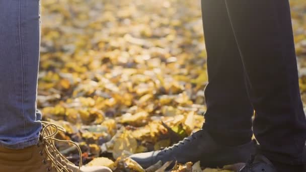 Хлопець і дівчина, стоячи в лісі і тримаючись за руки, осінь любовна історія — стокове відео