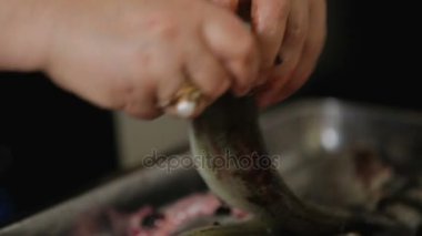 Kadın eldivenler, hijyenik yemek pişirme, ucuz Restoran olmayan balık ölçekleme