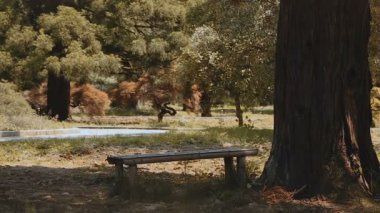 Yeşil park, huzurlu dinlenme açık havada, Botanik Bahçesi içinde bir ağacın altında eski tezgah