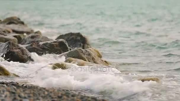 Vlny mytí štěrková pláž, nádherné pobřeží Černého moře, relaxační výlet do Gruzie — Stock video