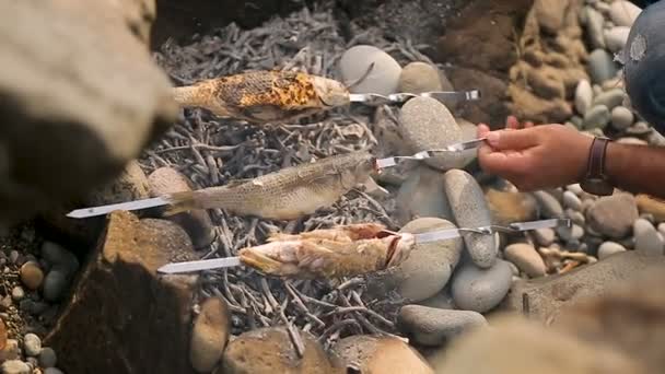 Рыбаки барбекю, приготовление рыбы на открытом воздухе, кемпинг и зеленый туризм — стоковое видео