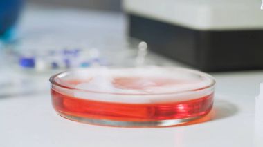 Gösteri biyokimyasal reaksiyon, laboratuvar testi, kimyasal deney