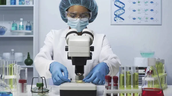 Cientista experiente de laboratório fazendo pesquisa médica, olhando para o microscópio — Fotografia de Stock