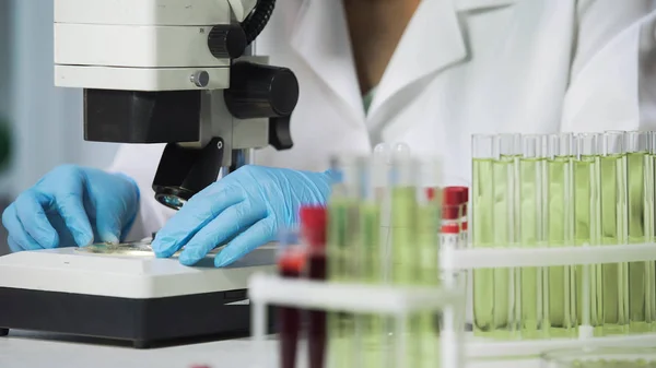 Cientista feminina vendo amostra de bactérias no microscópio, pesquisa bioquímica — Fotografia de Stock