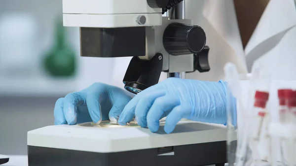 Руки женщины-ученого с помощью микроскопа и анализа образца, бактериологии — стоковое фото
