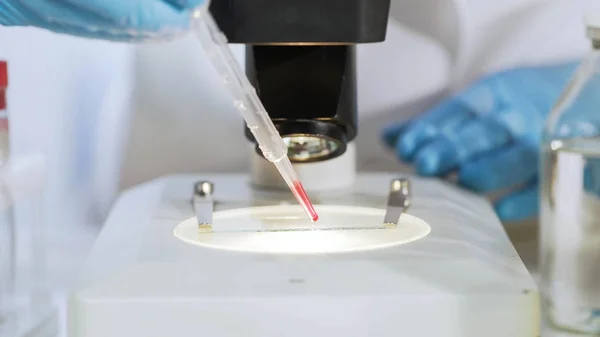 Bioquímico preparando diapositiva con muestra de sangre, examina bajo el microscopio —  Fotos de Stock