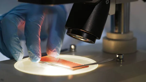 Cientista médico estudando amostra de sangue sob microscópio, pesquisa bioquímica Fotos De Bancos De Imagens