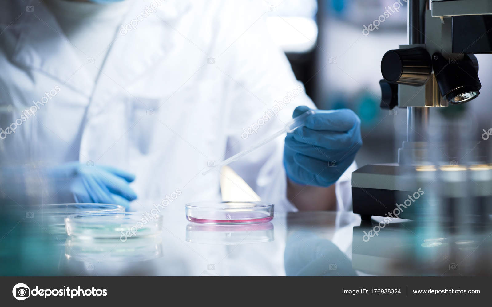 Chemical lab developing new substance for production of household