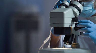 Yeni araştırma laboratuvar asistanı bakterilerin mikroskop, bilim altında yetiştirilen