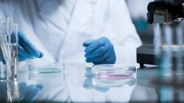 Onları araştırma önce dezenfekte mikroskop slaytlar, hazırlama asistan