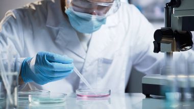Kozmetik kalitesini teyit için araştırmacı bilimsel çalışmalar yürütülmesi