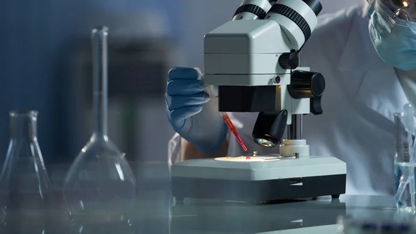 Cientista médico fazendo experimentos de laboratório, tentando reproduzir novas espécies de bactérias — Fotografia de Stock