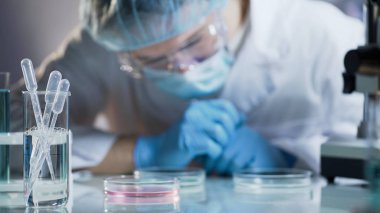 Dikkatli bir şekilde inceleyerek bilim adamı araştırma hücre, petri dish, olgunlaştı