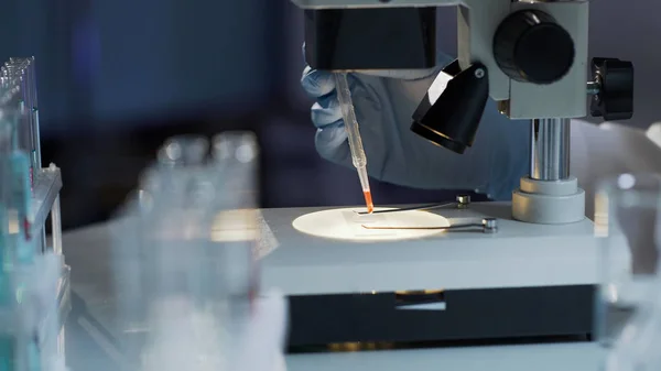 Лаборант ищет антитела в крови, тест на ВИЧ-инфекцию, анализ — стоковое фото