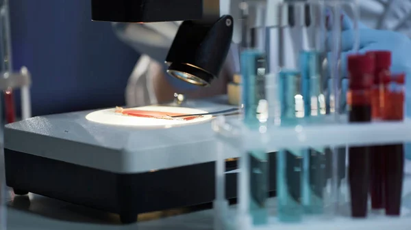 Cientista de laboratório fazendo pesquisa médica em amostras de sangue, microscópio close-up — Fotografia de Stock