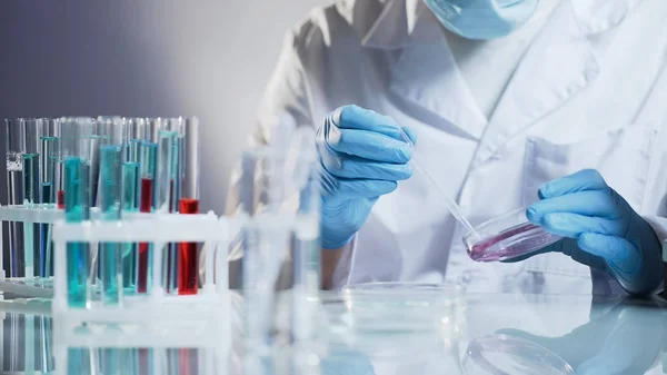 Cosmetology lab assistant preparing organic substance for anti-aging cream Royalty Free Stock Photos