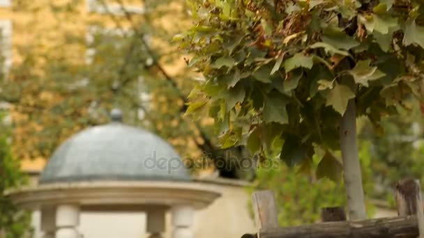 Statua di Apollo vicino alle vasche minerali centrali a Sofia, Bulgaria, monumento alla divinità — Video Stock