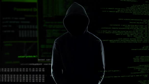 Mandlig programmør stående i håndjern efter at have begået cyberkriminalitet, straf – Stock-video