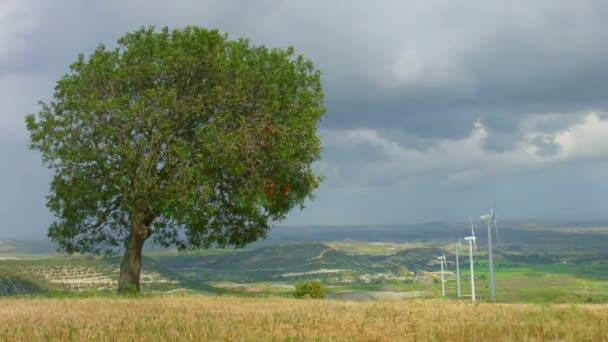 Проміжок часу красивого поля, зелене дерево біля вітроелектростанції, хмари, зміна погоди — стокове відео