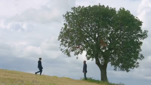 Junges Paar umarmt und küsst sich unter großem grünen Baum, ewige Liebe für immer — Stockvideo