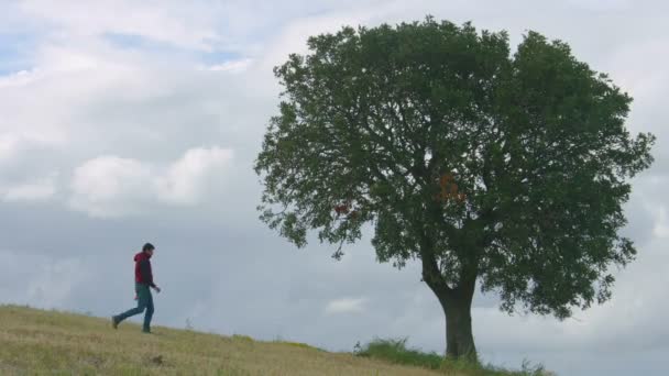 Guy plassen in park, jonge man urineren op boom, menselijke invloed op ecologie — Stockvideo