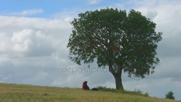 Silhouette di ragazzo seduto sotto l'albero, turista con zaino pesante continua il viaggio — Video Stock