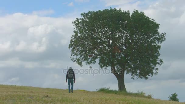 Mann mit Rucksack läuft über Feld, Touristenwandern, Grüntourismus, Urlaub — Stockvideo