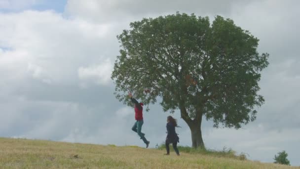 Giovani eccitati che corrono insieme sul campo, si tengono per mano, ballano, saltano — Video Stock