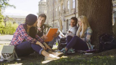 College students having discussion under tree on campus, preparing for exams clipart