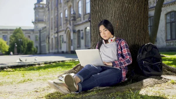 Студент колледжа сидит под деревом в кампусе, использует ноутбук, пишет заключительную работу — стоковое фото
