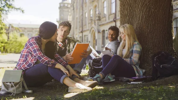 Estudantes universitários tendo discussão sob árvore no campus, preparando-se para exames Fotos De Bancos De Imagens Sem Royalties