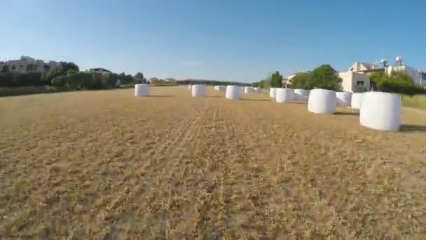 Surveillance aérienne des champs, contrôle minutieux par le propriétaire des cultures sur ses terres agricoles — Video
