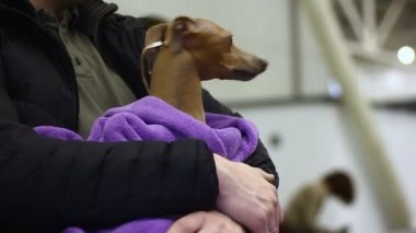 Tutan kişi köpek elinde, korkmuş pet veteriner Kliniği, şirin hayvan korkuttu