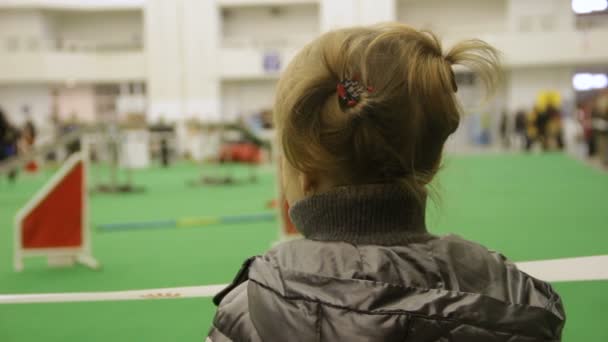 Petite fille regardant la compétition de chiens de race, rêves d'animaux de compagnie, amour pour les animaux — Video