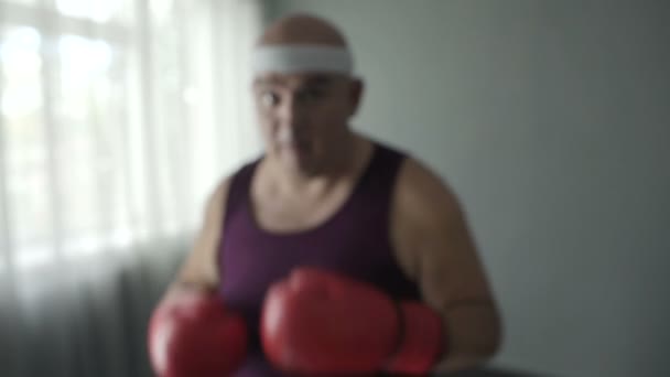 Ombre séance d'entraînement de boxe de l'homme obèse délibérée, la formation masculine pour perdre du poids — Video