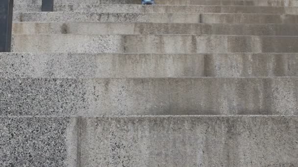 천천히 대학, 클래스의 끝에에서 계단을 내려 실행 하는 여성 학생의 다리 — 비디오