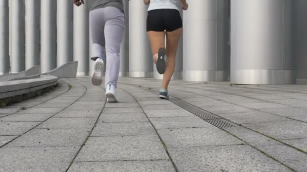 Ο φίλος και η φίλη κάνει τρέχοντας ασκήσεις μαζί, υγιή σχέση — Αρχείο Βίντεο