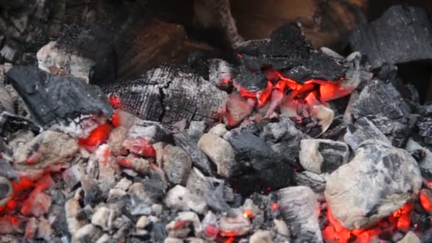 Roodgloeiende houtskool langzaam in grote barbecue brazier, brandstichting vuur blijft gloeien — Stockvideo