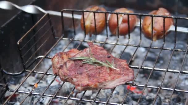 Carne fresca y patatas a la parrilla al fuego, deliciosa comida al aire libre, primer plano — Vídeo de stock