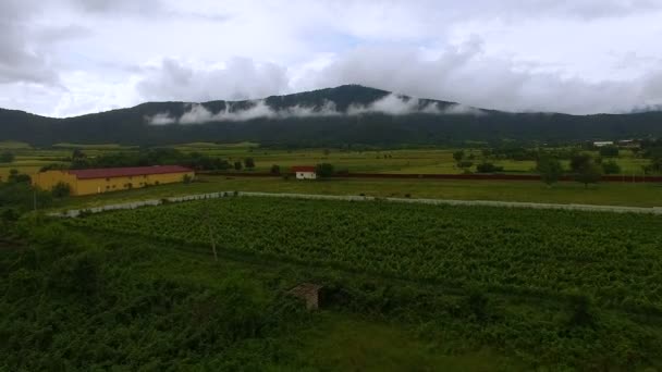 Beautiful aerial flight over old village and field, view of mountain in haze — Stock Video