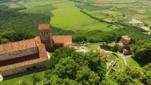 Красивая воздушная панорама монастырского комплекса Некреси в Кахетинской области — стоковое видео