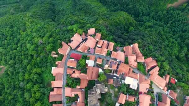 Drone volando sobre los tejados Signagi, hermosa vista del verde valle de Alazani — Vídeos de Stock