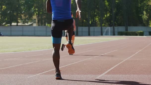Desportista Hardy se preparando para a maratona, fazendo exercícios físicos no estádio — Vídeo de Stock
