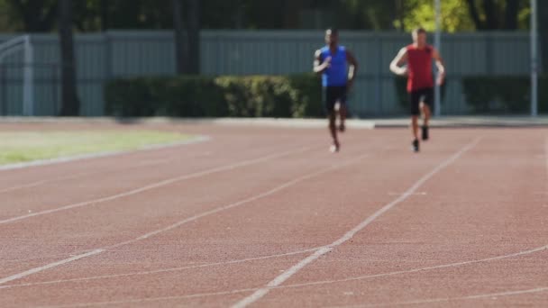 Amigos deportivos haciendo carrera matutina, espíritu sano en cuerpo en forma, cámara lenta — Vídeo de stock