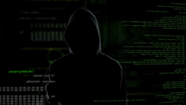 Přístup byl odepřen, neúspěšné hackerské pokusy na serveru, trestní dostane zuřivý — Stock video