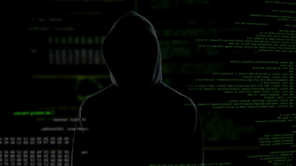 Intento de hackeo exitoso, acceso a información personal, ciberterrorismo — Vídeos de Stock