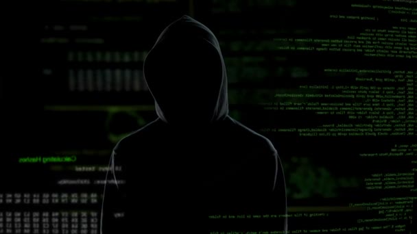 Toegang verleend, succesvolle hacking, cyber aanval op persoonlijke gegevens of account — Stockvideo